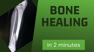 Bone healing in 2 mins [upl. by Zurn528]