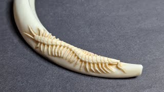 Scolopendra netsuke aus Wildschwein Zahn [upl. by Olga923]