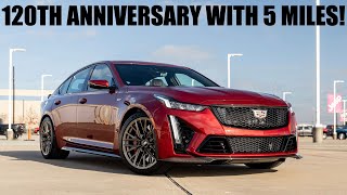 2023 Cadillac CT5V Blackwing 120th Anniversary with 5 miles [upl. by Chelsy]