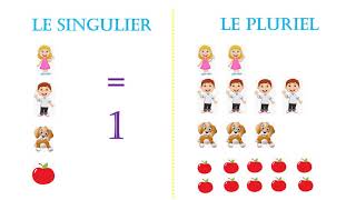 Le singulier et le pluriel des noms [upl. by Sioled]