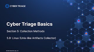 Ingest Linux UAC DFIR Artifacts into Cyber Triage for Automated Forensic Analysis [upl. by Nire]