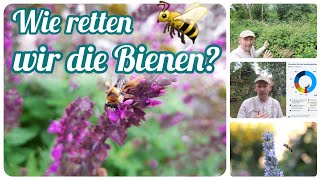 Wie retten wir die Bienen 🐝🌻🌳 [upl. by Mylo]