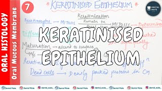 Keratinised Epithelium  Keratinization process  Maturation of keratinocytes  OMM  Dr Paridhi [upl. by Onaimad]