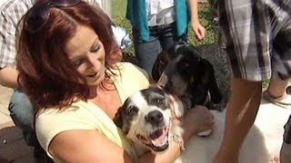 Lost dog reunited with owners after 3 years [upl. by Neelac557]