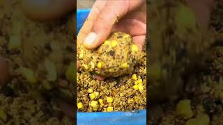 Letní method recept na Haldorado Pellet Feeder krmítko rybaření shorts [upl. by Conte15]