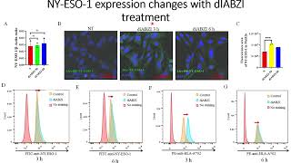 DiaBZl stimulates NYESO1 antigen expression on tumor cells Code 704 [upl. by Onitnelav91]