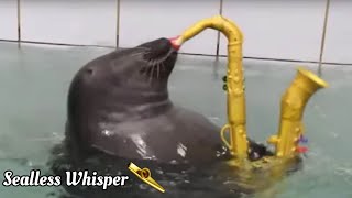 SEAL plays Careless Whisper Saxophone part on a KAZOO [upl. by Arehsat]