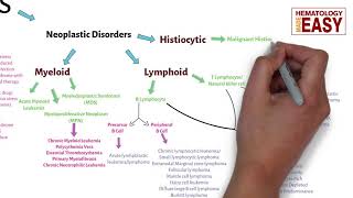 WBC Disorders ClassificationLeukocytosisLeukopeniaLeukemiaLymphoma [upl. by Iphigenia95]