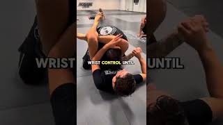 Triangle Choke bjj jiujitsu mma ibjjf fighting martialarts [upl. by Imak]