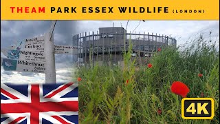 Essex Wildlife Trust Thames park Nature Discovery Park London worldtravelsecrets [upl. by Ashlee77]