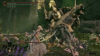 Elden Ring DLC Shadow of the Erdtree  Tree Sentinel 2 Boss Fight [upl. by Brandwein]