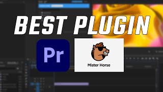 The Best Plugin for Premiere Pro this Year [upl. by Rodgiva]