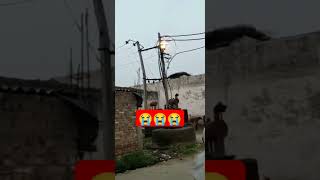 बिजली विभाग  Lineman  trending shortsvideo [upl. by Surazal]