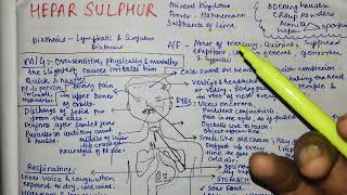 Hepar sulphur drug picture  Homeopathic medicine easy explanation [upl. by Notnel]