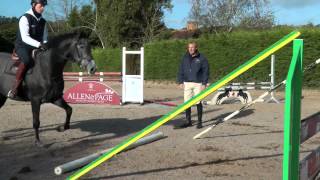 William Funnell  Young horses first introduction to fences  HorseandRider UK [upl. by Shaine]