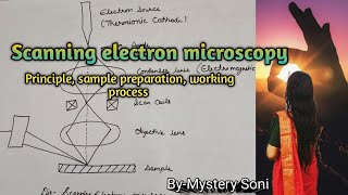 BScMSc Scanning electron microscopy for plant protoplast cells and tissues [upl. by Enomed]