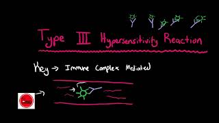 Type 3 Hypersensitivity Reactions [upl. by Jamilla971]