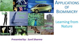 Lec2  Applications of biomimicry [upl. by Razec]