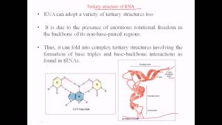 RNA structure  tertiary structure [upl. by Madelyn]