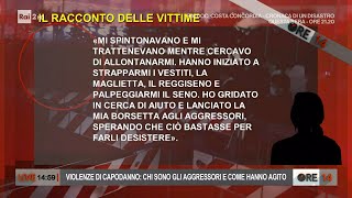 Violenze di Capodanno chi sono gli aggressori e come hanno agito  Ore 14 del 13012022 [upl. by Nalak]