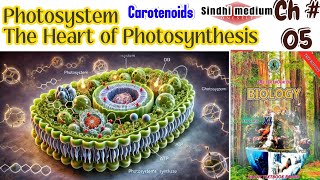 Photosystem and its composition [upl. by Megan]