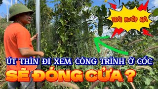 Út Thìn đi xem công trình ở trong Cốc của Thầy Minh Tuệthichminhtue minhtue [upl. by Maddocks]