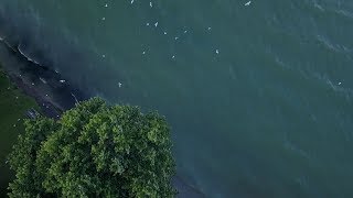 DJI Mavic Pro Drone Video of McRae Point Provincial Park at Lake Simcoe near Orillia Ontario [upl. by Dinesh]