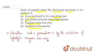 Seeds of parasitic plants like orobanche germinate in the presence of [upl. by Ferwerda146]