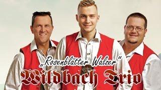 Wildbach Trio  quotRosenblätter Walzerquot 2014 [upl. by Ethbinium]