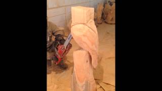 Chainsaw Art  Owl [upl. by Aidan]