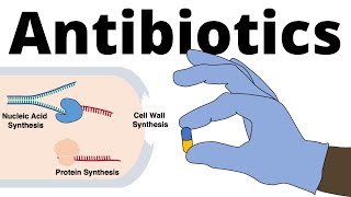 Antibiotics  Mechanisms of Action Classification and Antibiotic Resistance [upl. by Marga]