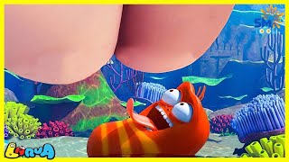 LARVA Season 2 Episode 50  100  New Cartoons 2024  Hilarious Cartoon Compilation [upl. by Lugar]