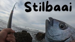 Stilbaai Fishing for Galjoen and Blacktail [upl. by Ciapha]