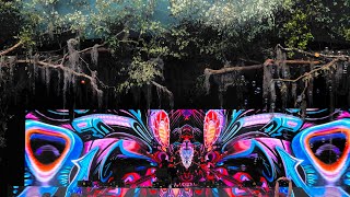 Tipper Twilight Set  Spirit of the Suwannee Music Park Tipper amp Friends 5 050623 [upl. by Keese]