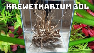 Zakładanie Krewetkarium 30l [upl. by Mir]