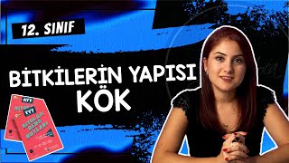 7 FOTOSENTEZE GİRİŞ  12 SINIF  AYT BİYOLOJİ DERS NOTLARI  2024 [upl. by Dorina]