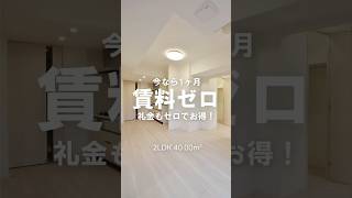 【神楽坂・早稲田エリアに住む】落ち着いた街並みで優雅な生活🌱shorts roomtour 賃貸 ルームツアー お部屋探しはreve [upl. by Ycnej]