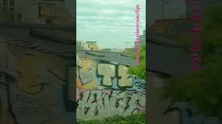 Steamrails ReturnMorwell Rose Festival steam victoria shorts shortvideo train travel views [upl. by Alaekim776]