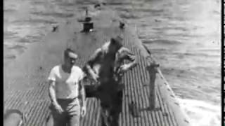 George Bush Rescued at Sea by the USS FInback  02 September 1944 [upl. by Welcy]