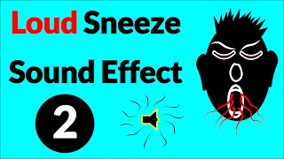 Loud Sneeze Sound Effect 2 [upl. by Anne]