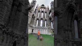 travel explore adventure whitby whitbyabbey epic history ruins englishheritage [upl. by Heins]