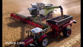 Harvest 2022 Claas Lexion 8900 TT  Convio 1380 Horsch UW 160 chaser bin MF 7719 S DynaVT barley [upl. by Kcaz]