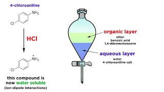 Separating Components of a Mixture by Extraction [upl. by Ahsenal348]