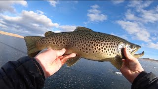 Early ice fishing Antero Reservoir for BIG TROUT [upl. by Anaitak]