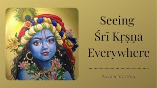 Seeing Śrī Kṛṣṇa Everywhere  ISKCON Silicon Valley  Amarendra Dāsa [upl. by Ehttam]