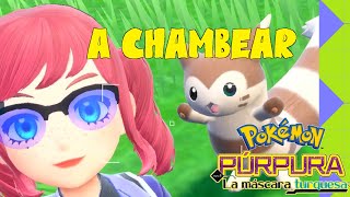 Mi Pokémon favorito se puso a chambear [upl. by Gorga]