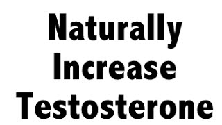 Naturally Raise Testosterone Levels [upl. by Ingmar]