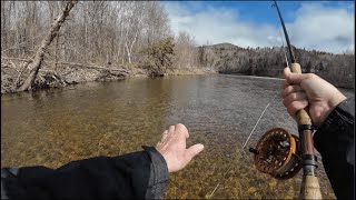 Fly Fishing From a Trout Perspective [upl. by Otrevire]