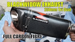 Blackwidow Carbon Fibre Exhaust Unboxing  Honda NC700 NC750 [upl. by Wyon]