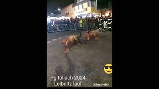 😈leibnitzer lauf Steiermark😈 [upl. by Rodenhouse275]